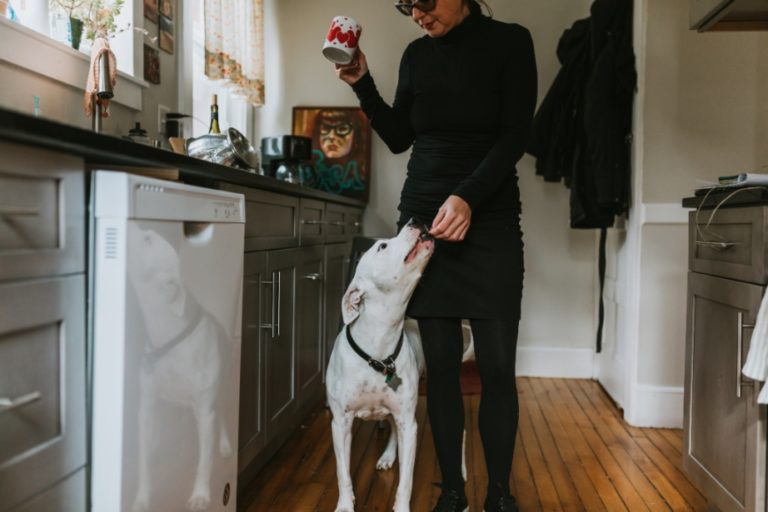 Woman gives her white bulldog a treat in her kitchen.